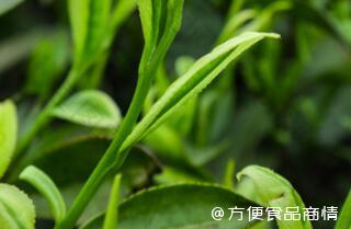 植物性、清洁标签、个性化…未来怎样的功能性食品更容易出圈？