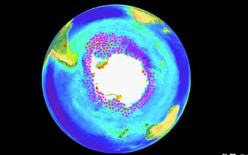 南极磷虾每年可捕1亿吨！我国技术与装备突破封锁，或成大赢家