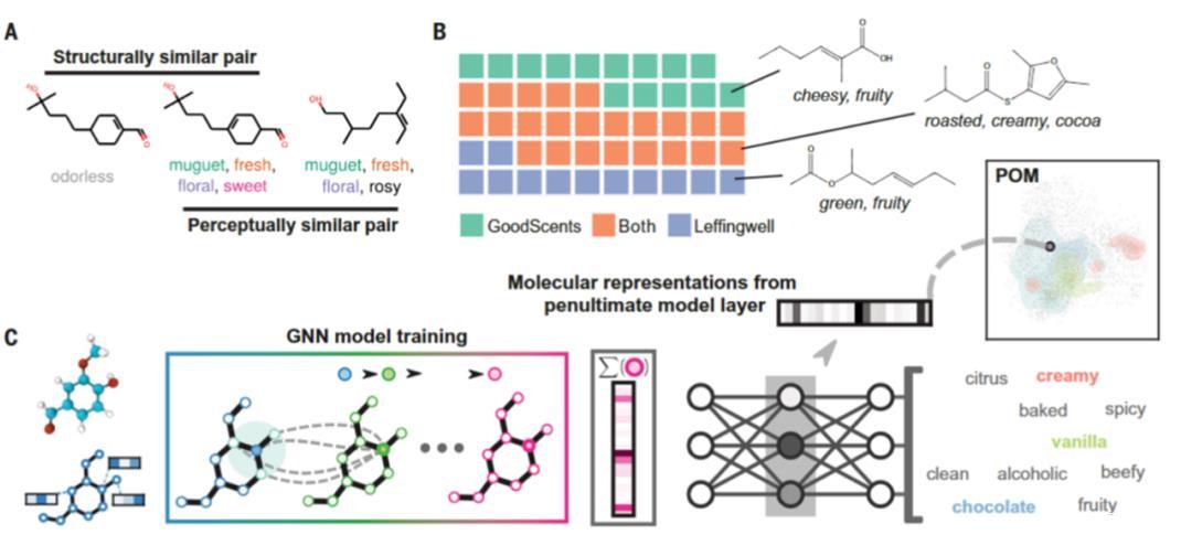 AI也能“闻到”气味！并且嗅觉远超人类？