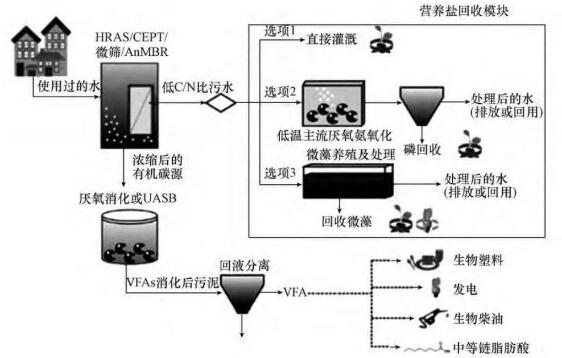 污水厂“0”能量需求？揭秘“营养物+能源+再生水”的荷兰先进模式