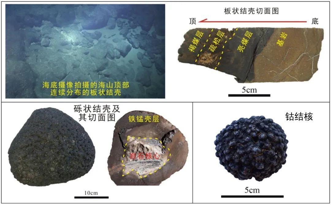 不断生长的海底财富，多金属结核应用广泛