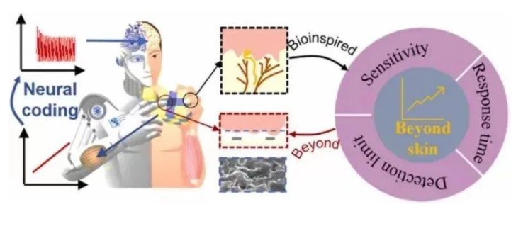 攻关三道“关卡”！东南大学研发的“电子皮肤”，让机器人拥有“类人”触觉