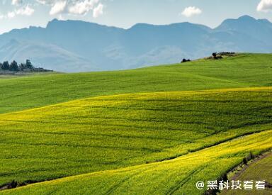 智慧农业+时代来了！规模早已破千亿，会遭遇哪些瓶颈？