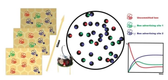 蜂窝型机器人如何交互？研究人员发现其集体决策的“催化剂”，登Science Robotics