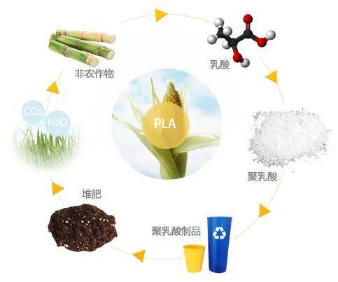 被“种”出来的纤维！聚乳酸纤维可部分代替涤纶，有啥优势性能？